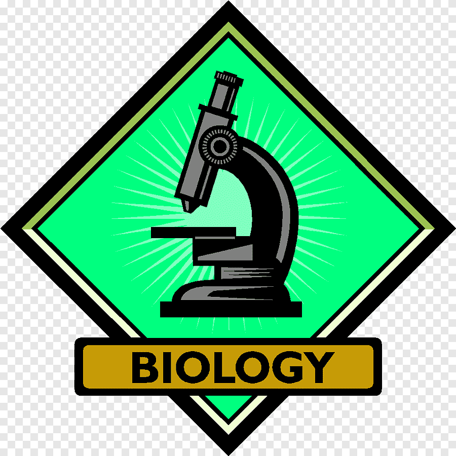 upload/job-provider/logo/logo_1762163803.png